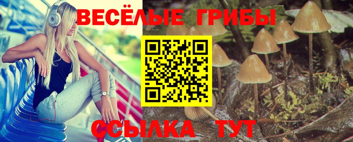 Учалы  Галлюциногенные грибы прущие грибы  Вход с VPN 